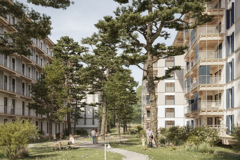 Nuovo a Baar: 7.000 m² in costruzione lignea futuristica (6)