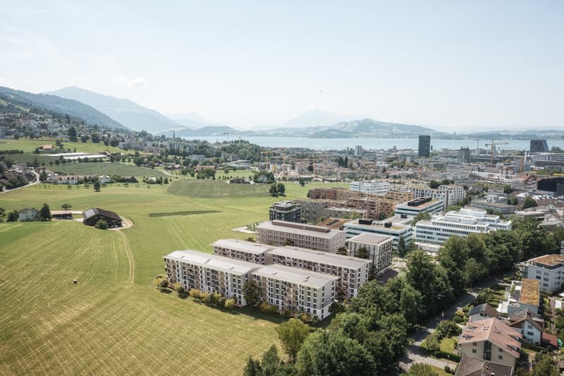 Nuovo a Baar: 7.000 m² in costruzione lignea futuristica (7)
