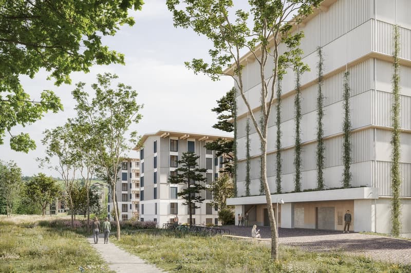 Nuovo a Baar: 7.000 m² in costruzione lignea futuristica (5)