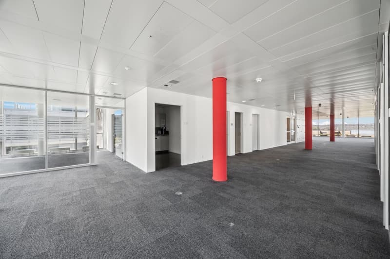 Showroom at perfect location in Pfäffikon SZ (5)
