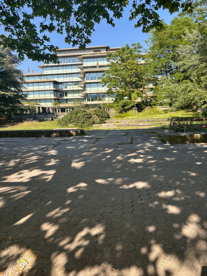 Il vostro nuovo quartier generale sul lago – con vista e servizio completo (4)