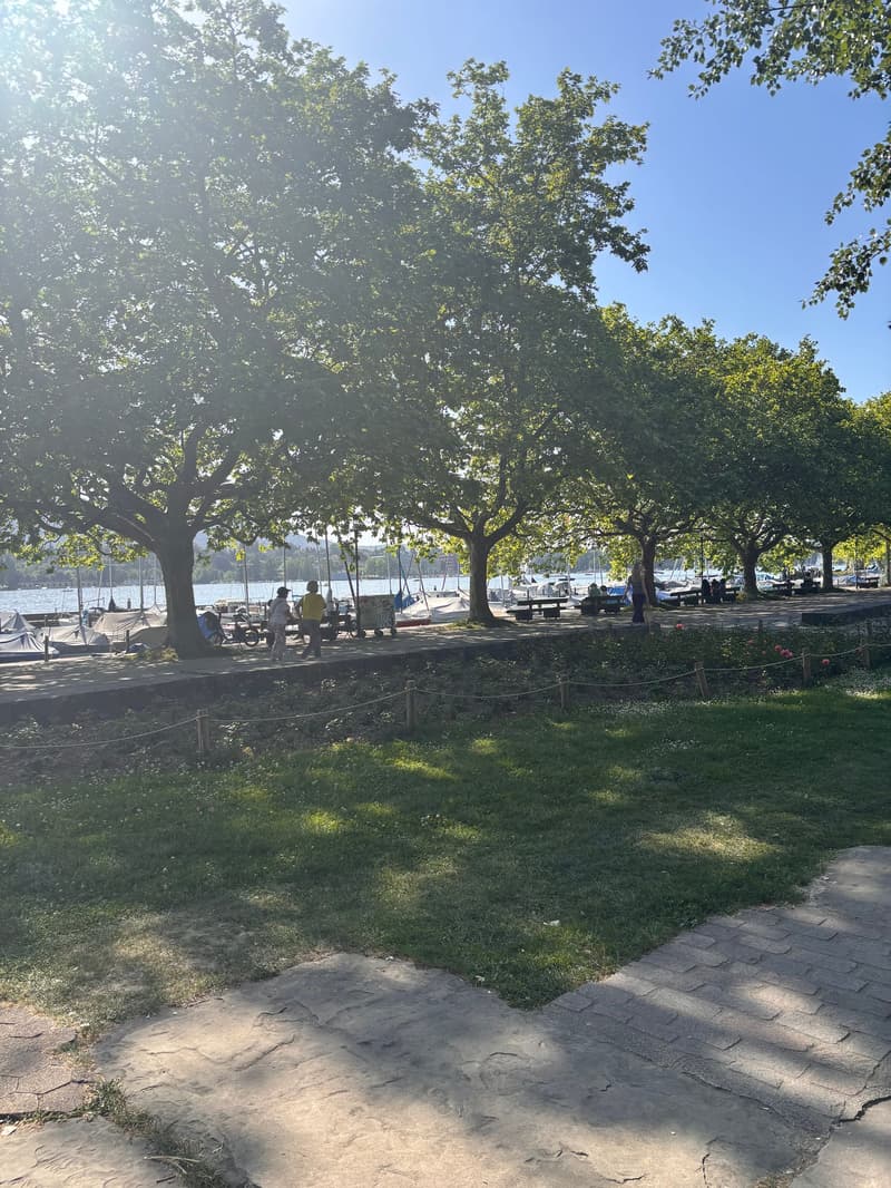 Il vostro nuovo quartier generale sul lago – con vista e servizio completo (3)