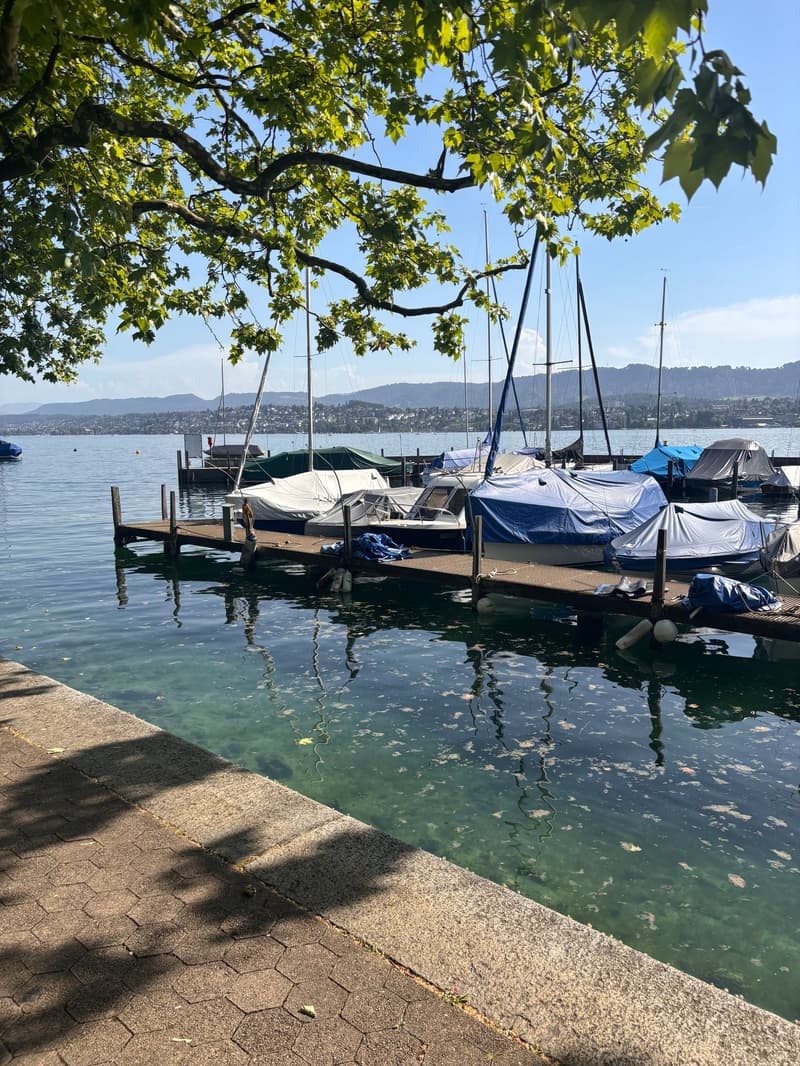 Il vostro nuovo quartier generale sul lago – con vista e servizio completo (2)