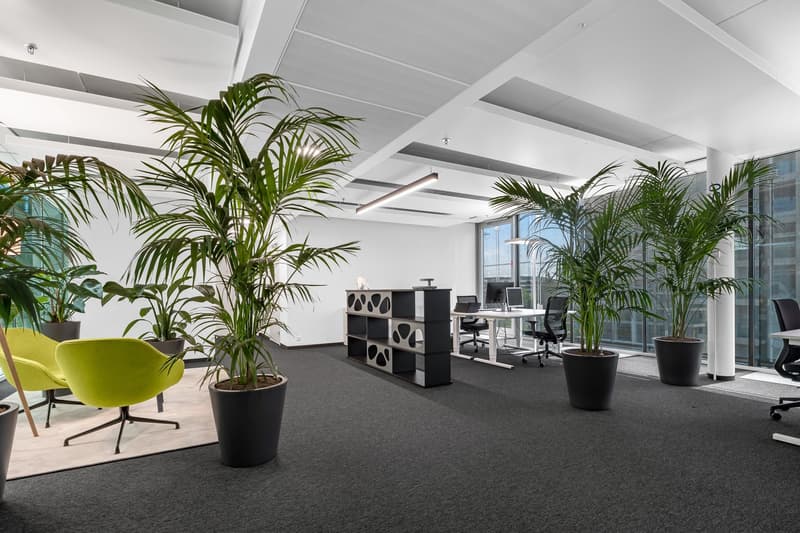Service de concierge & bureau à partir de 400 m² - Où le business devient une expérience (6)