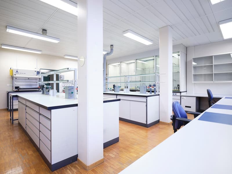 Spazi di laboratorio e ufficio pronti per l'occupazione da 181 m² (3)
