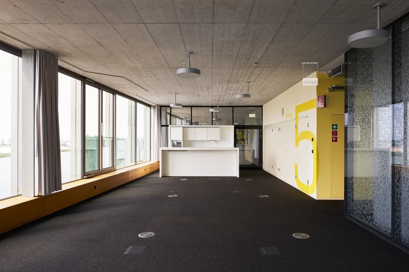 Spazi aziendali da 2'000 m² direttamente sul Reno (6)