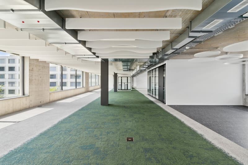 Sono disponibili solo 3 spazi affidabili da 204 m² (7)