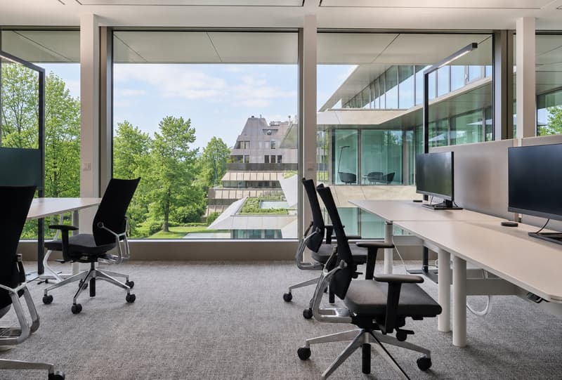 Lavorare sul lago – uffici open space premium pronti per essere occupati (11)