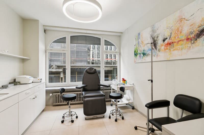 Einmalige Gelegenheit an zentraler Lage in Zürich (10)