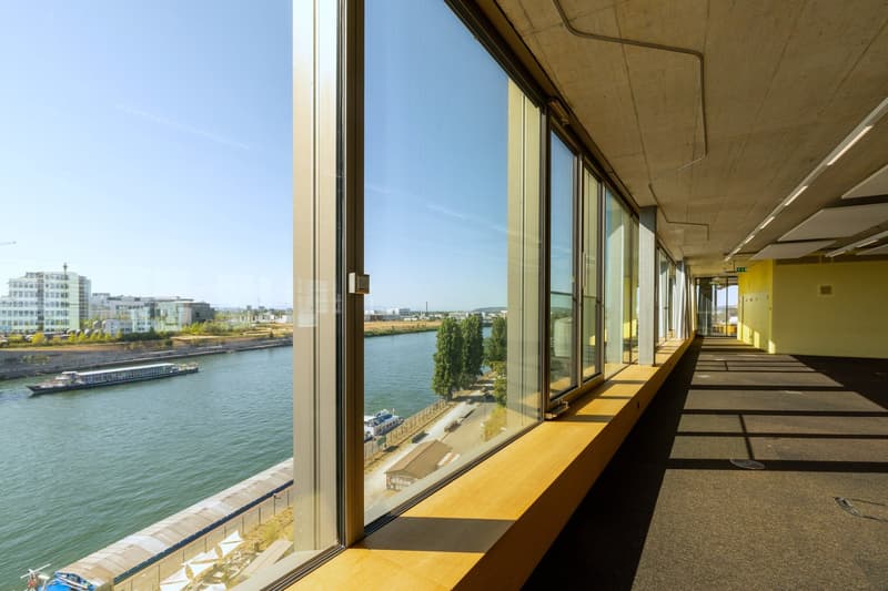 Büroflächen ab 2'000 m² direkt am Rhein (3)