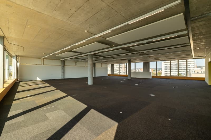 Büroflächen ab 2'000 m² direkt am Rhein (7)