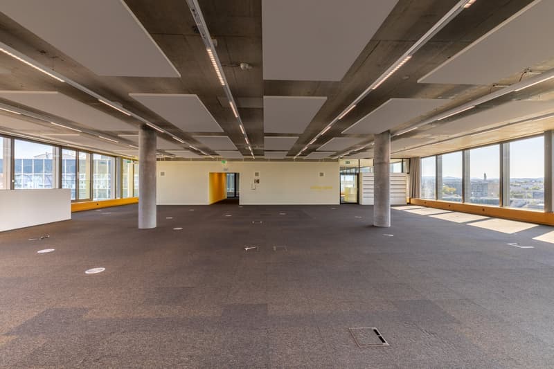 Büroflächen ab 2'000 m² direkt am Rhein (5)