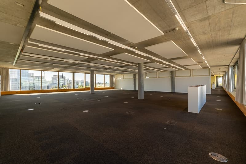 Büroflächen ab 2'000 m² direkt am Rhein (8)
