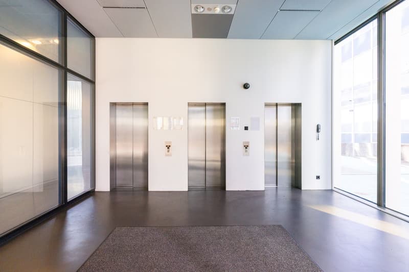 Büroflächen ab 2'000 m² direkt am Rhein (2)