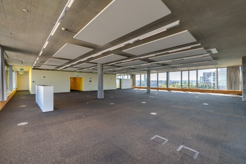 Büroflächen ab 2'000 m² direkt am Rhein (4)