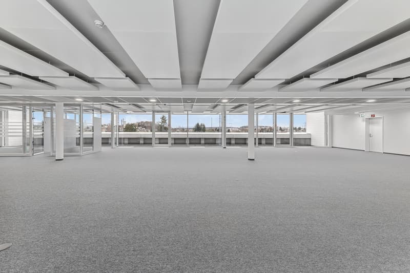 Büroflächen ab 1'000 m² - Wo Business zum Erlebnis wird (6)