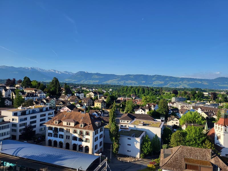 city skyline with buildings and houses, mountains in the background, trees and vegetation