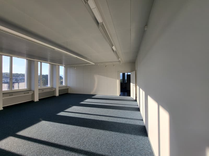 Large open office space with high ceilings, white walls, and large windows providing natural light. The room has a gray carpeted floor and track lighting along the ceiling.