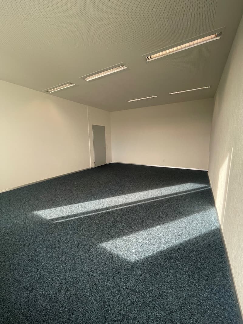 Empty room with carpet, white walls, ceiling lights, door, window with sunlight