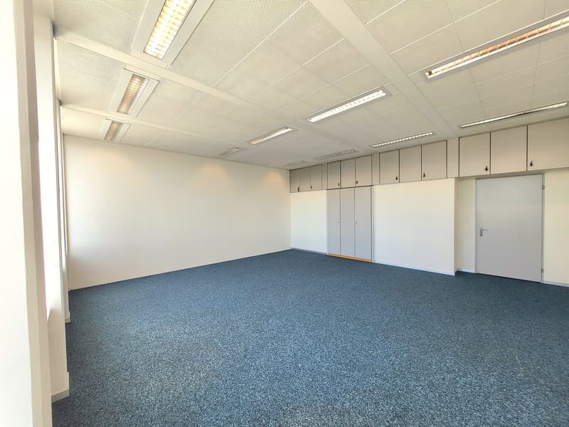 empty room, white walls, blue carpet, fluorescent lighting, white cabinetry, glass window