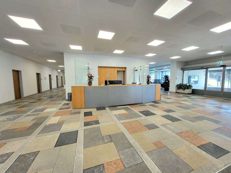 empty lobby, tiles on the floor, light fixtures on the ceiling, reception desk, potted plants