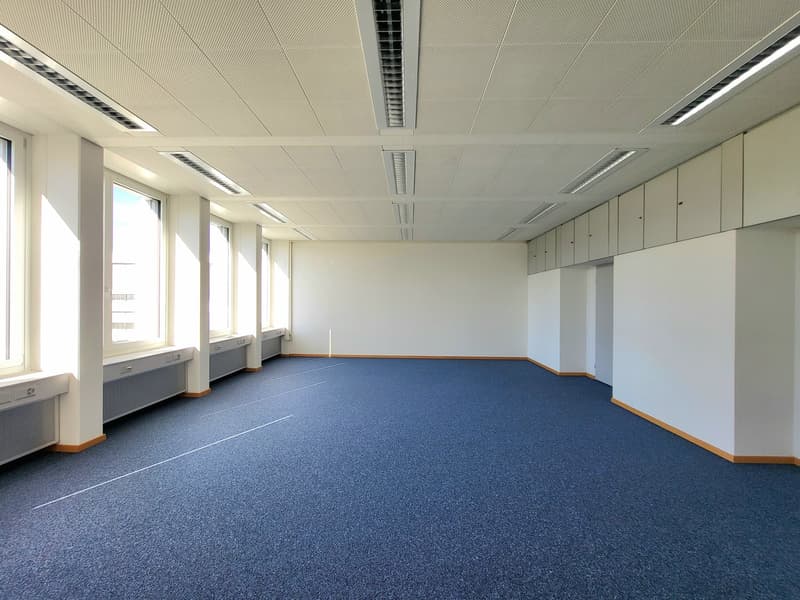 Empty room with blue carpet and white walls, 6 windows, ceiling vents, baseboards.