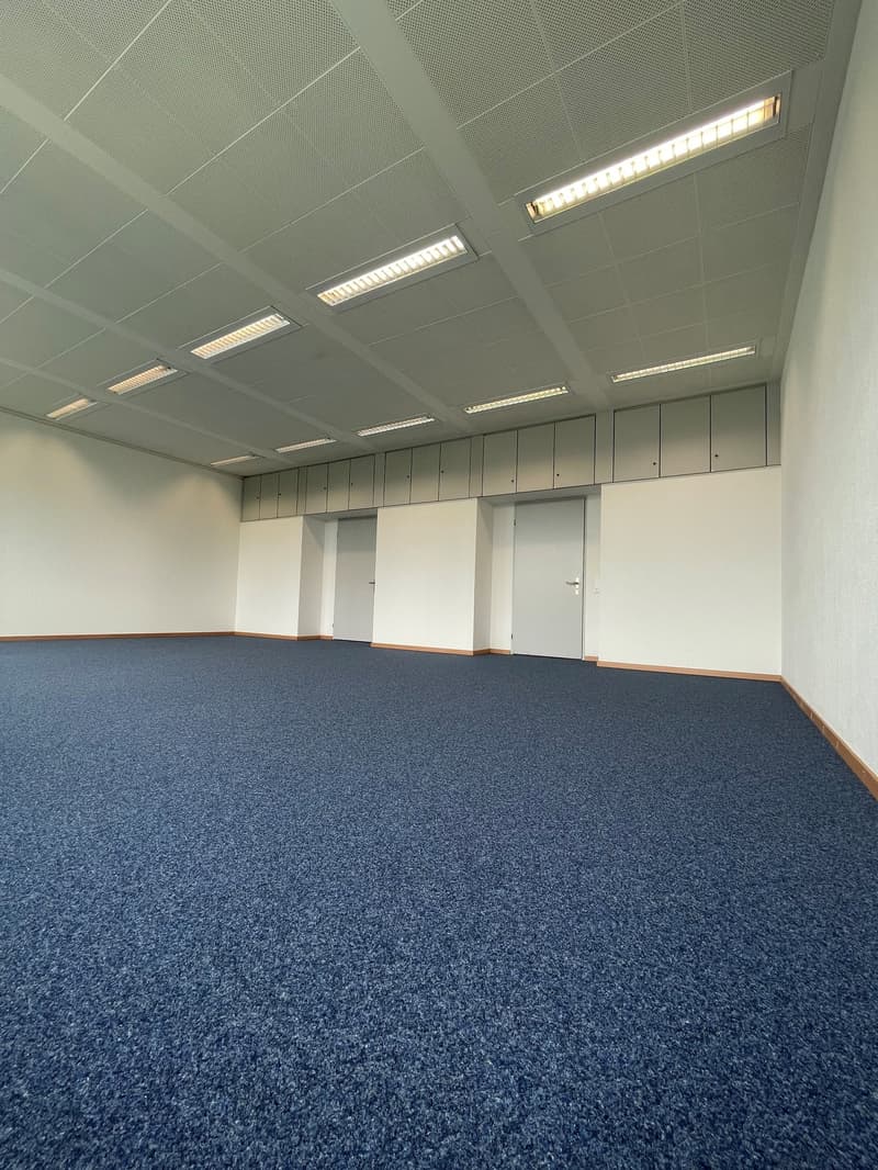 empty room, white walls, blue carpet, lights on ceiling, white doors, cabinets on wall