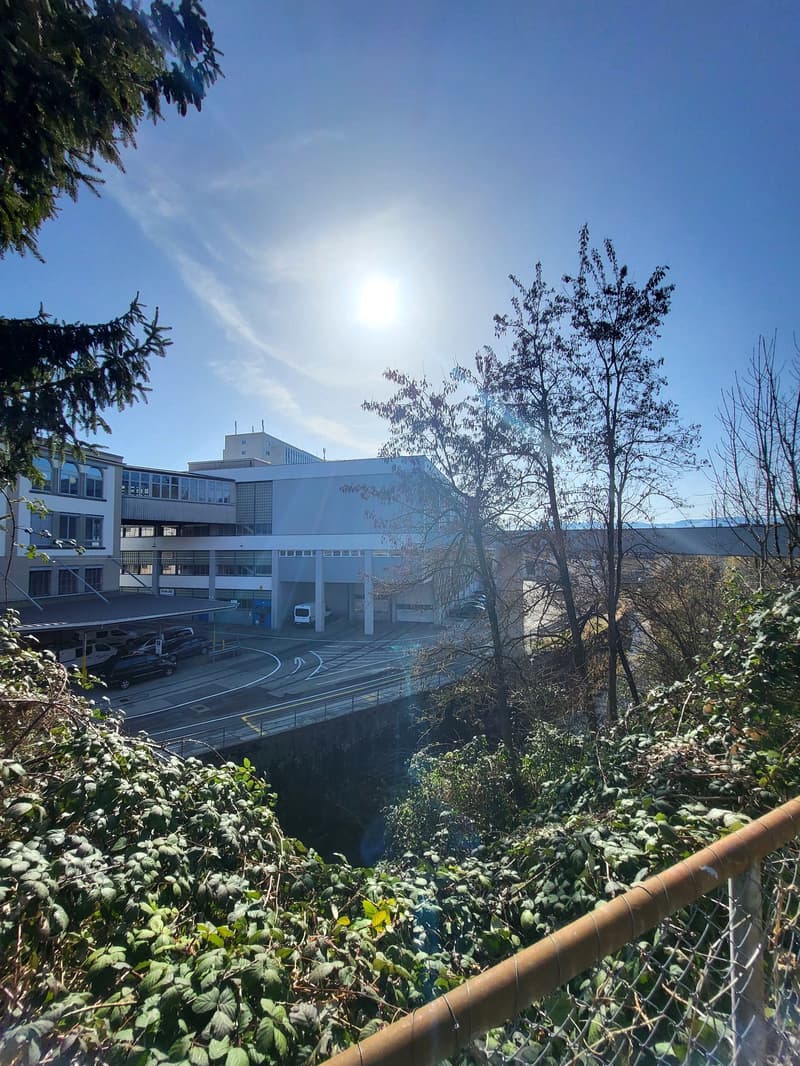 Building exterior view with a bright sunny sky, surrounded by trees and plants, and a road with cars