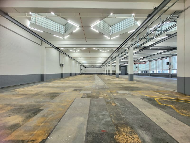Empty warehouse with white and gray walls, white ceilings with exposed beams and recessed lighting, large windows with skylights, empty concrete floor, yellow parking lines