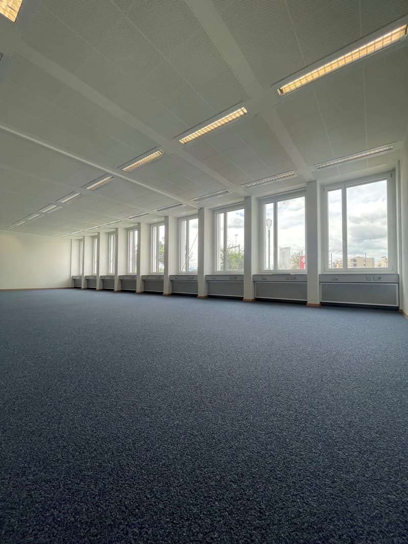 Large open office space with gray carpeted floor, white walls, and multiple windows providing natural light. The room has a suspended ceiling with recessed lighting fixtures. There are several desks or workstations lined up along the walls.