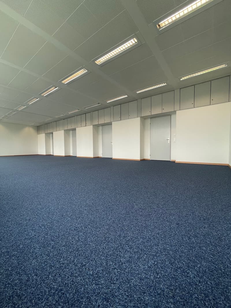 Large open office space with gray ceiling tiles, recessed lighting, and a blue carpeted floor. The room has multiple doors along the walls, indicating it could be used for various office or commercial purposes.