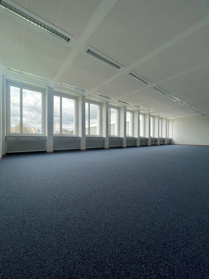 Large open office space with rows of windows, suspended ceiling, and dark gray carpeted floor