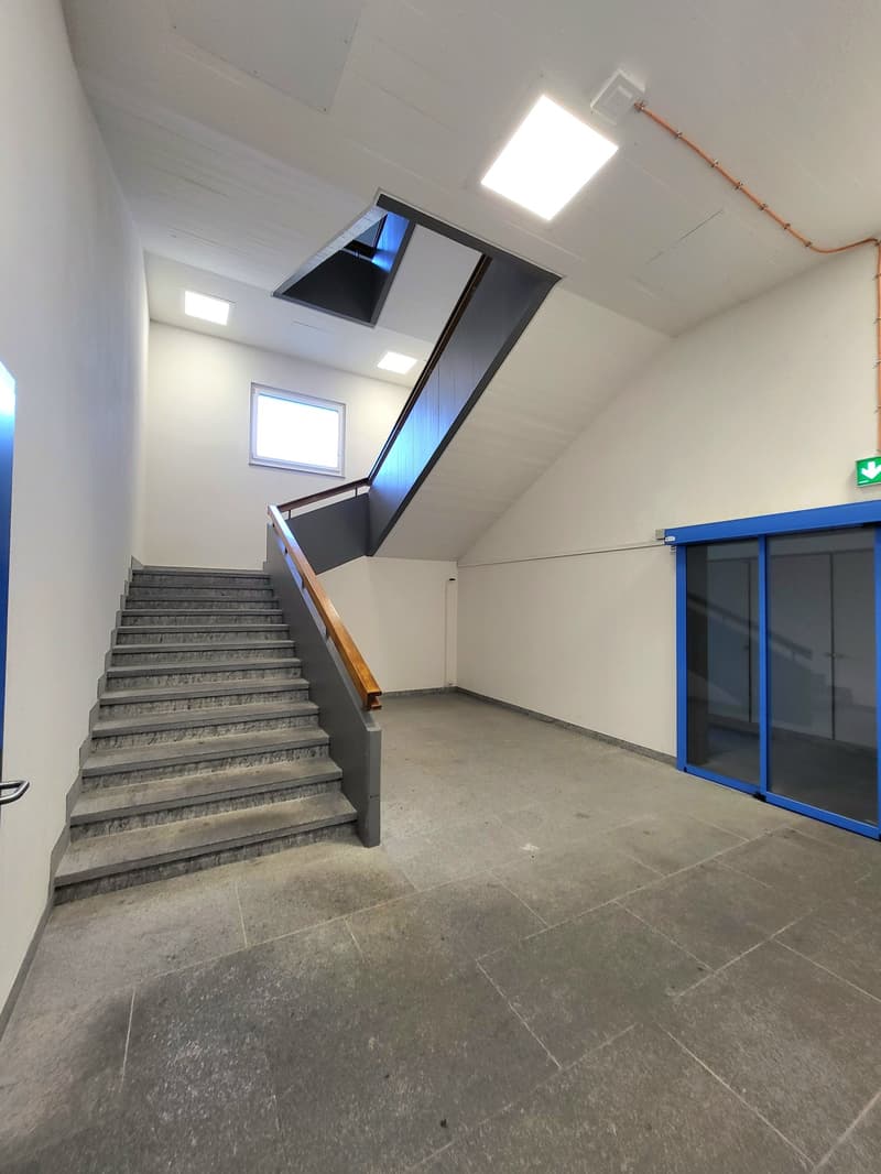 Building hallway with stairs, raised ground floor, white tiles, grey concrete floor, glass doors, white walls
