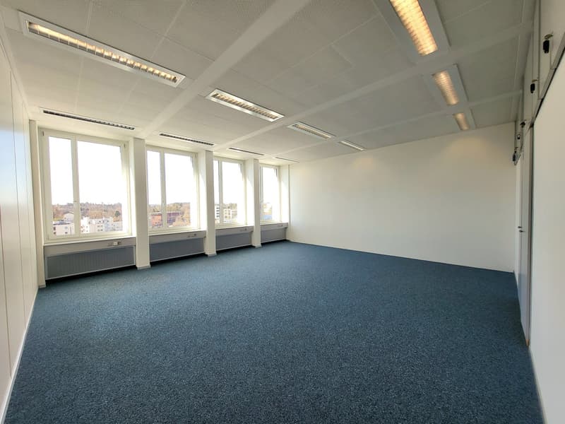 empty room, white walls, blue carpet, large windows, ceiling lights, no furniture
