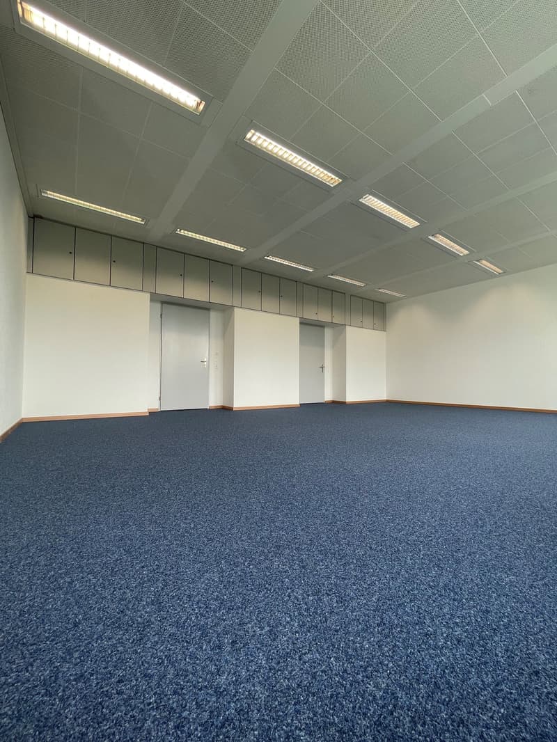 An empty room with blue carpet, white walls, and ceiling with lighting.