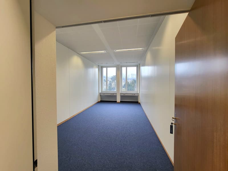 A corridor with walls, blue carpet, large windows, and a door.