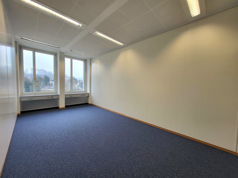 empty room with carpeted floor, white walls, windows, and built-in radiators