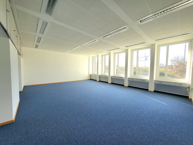 A spacious, rectangular room with a blue carpeted floor, white walls, white ceiling with recessed lighting, and large windows overlooking an outdoor scene with trees.