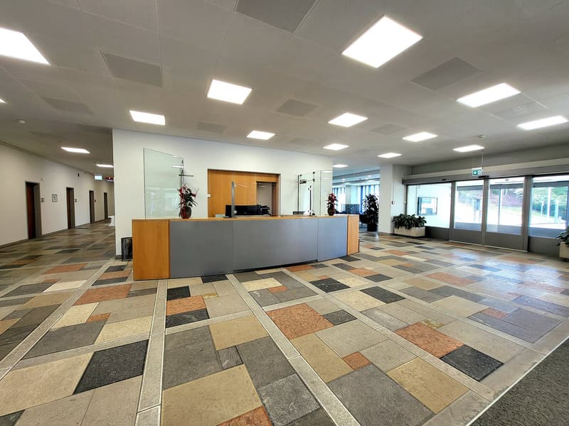 Wooden reception desk, glass panel, plants on both sides, open space with various lights