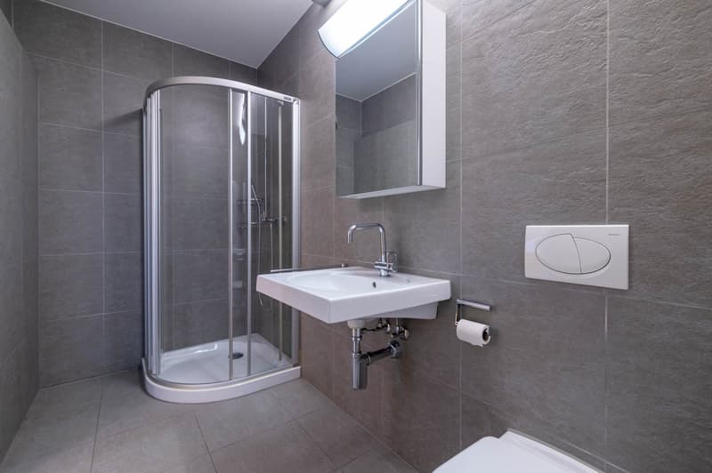 Modern bathroom with grey tiled walls, a white sink with a chrome faucet, a round glass-enclosed shower stall, a mirror cabinet, and a toilet.