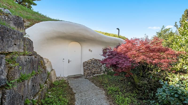 4.5 Zimmer Erdhaus - für Liebhaber aussergewöhnlicher Architektur (10)