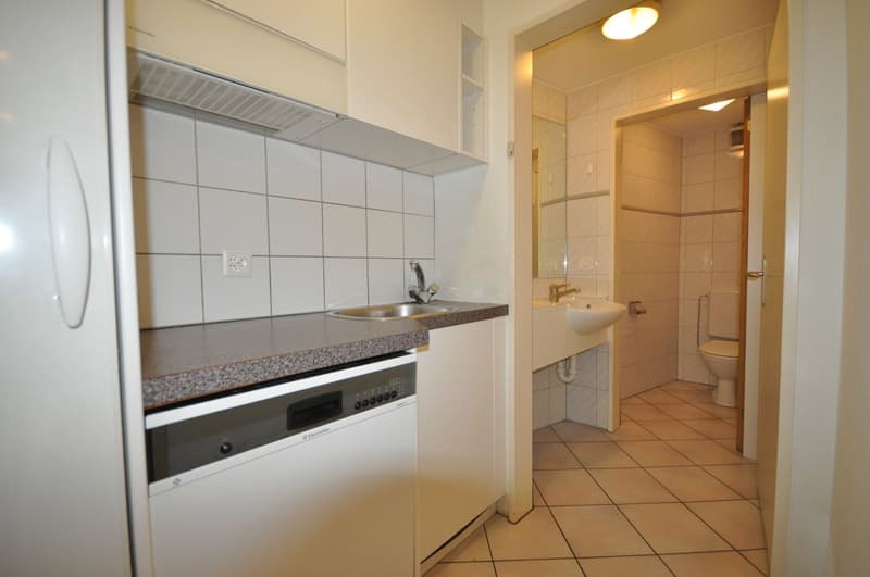 modern kitchen with white tiles, granite countertop, sink, dishwasher, cabinets, electrical outlet, mirror, toilet