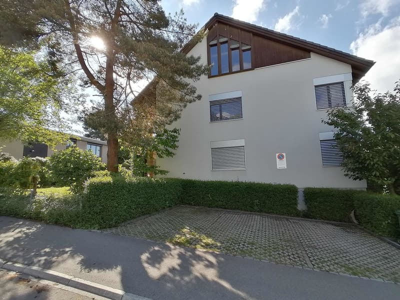 Kürzlich sanierte 1.5-Zimmer-Dachwohnung mit Balkon (1)