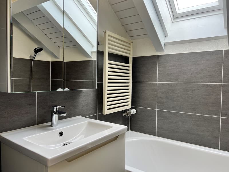 Kürzlich sanierte 1.5-Zimmer-Dachwohnung mit Balkon (6)