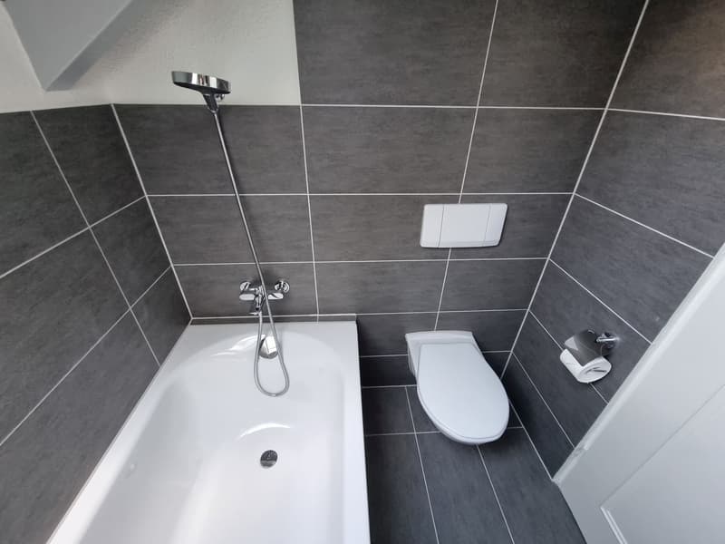 Kürzlich sanierte 1.5-Zimmer-Dachwohnung mit Balkon (7)