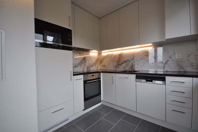 Kürzlich sanierte 1.5-Zimmer-Dachwohnung mit Balkon (5)