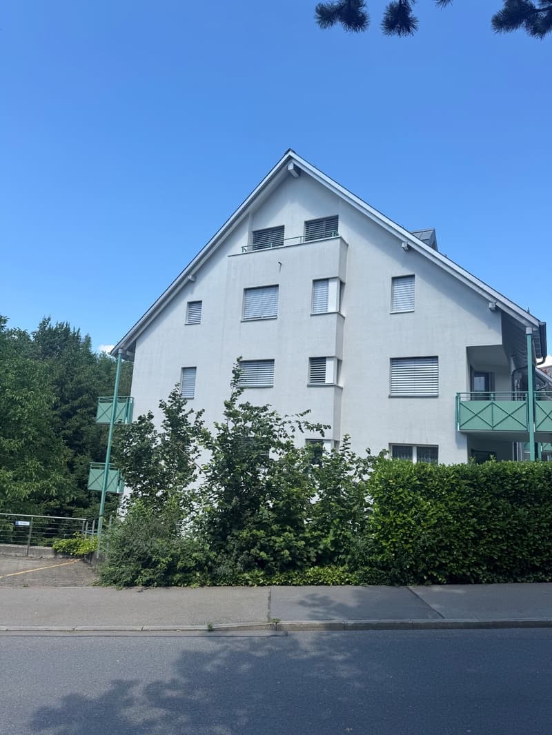 Grosszügige 5.5-Zimmer-Dachmaisonette in Samstagern – Sofort verfügbar! (1)