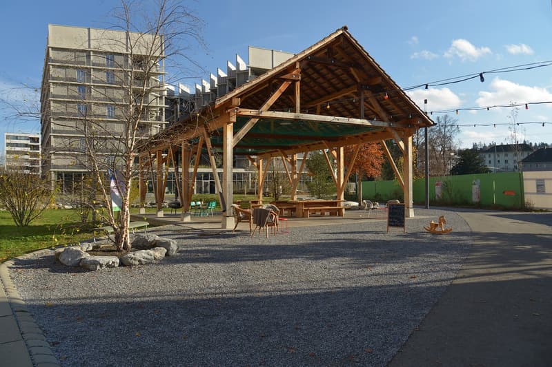 Neue 3 ½ Zimmer Wohnung an zentraler Lage (15)