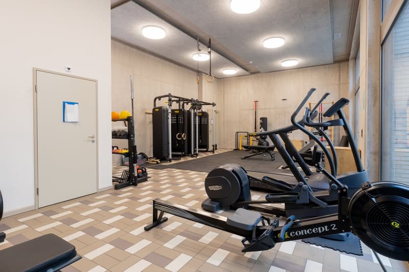 Neue 3 ½ Zimmer Wohnung an zentraler Lage (9)