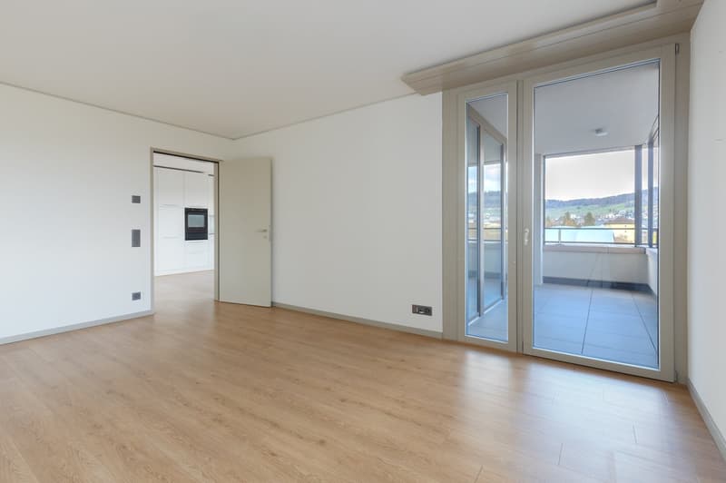 Neue 3 ½ Zimmer Wohnung an zentraler Lage (2)